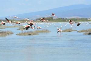 Natural landscape malapit sa bed & breakfast