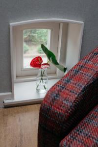 un oiseau assis sur un rebord de fenêtre à côté d'un vase avec une fleur dans l'établissement Hotel De Gravin, à s-Gravenzande