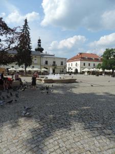 un grupo de pájaros parados alrededor de una fuente en una plaza en Apartament Violet, en Krosno