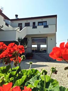 ein Haus mit roten Blumen davor in der Unterkunft Rooms Edda in Umag