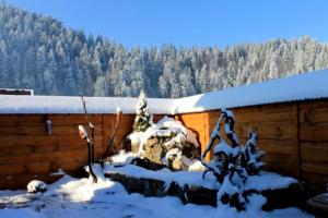 een huis met sneeuw op het dak bij Sribni Rosy in Mykulychyn