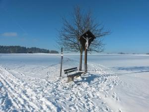 eine Bank im Schnee neben einem Baum in der Unterkunft Ferienwohnung Am Kapellenäcker in Neumarkt in der Oberpfalz