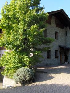 ein großer Baum vor einem Steingebäude in der Unterkunft Le Lierre in Châtillon