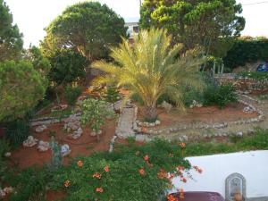 Un jardín fuera de Panoramic Seaview Holiday House