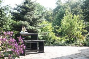 eine Bank in einem Garten mit Bäumen und Blumen in der Unterkunft Gastenverblijf Het Muzehuis in Dalfsen