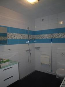 uma casa de banho com um chuveiro, um lavatório e um WC. em B&B De Domburcht em Domburg