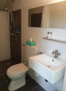 bagno con servizi igienici e lavandino di Appartement Sint Jan a Den Bosch