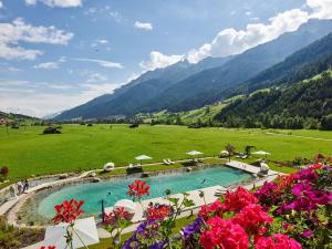 uma piscina num campo verde com montanhas em Alpeiner - Nature Resort Tirol em Neustift im Stubaital