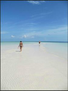 2 personnes marchant sur une plage dans l'eau dans l'établissement The Blue Inn Family Vacation Rental, à Smiths Point Settlement