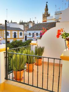 einen Balkon mit Topfpflanzen auf einem Gebäude in der Unterkunft Hotel Boutique Elvira Plaza in Sevilla