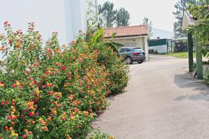 um arbusto de flores em frente a uma casa em Residencial Pinho Verde na Mealhada