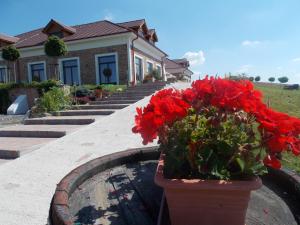 Um jardim no exterior de St Peter Vini