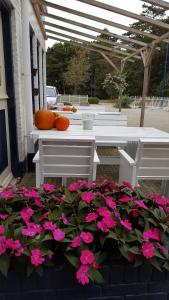 - une table et des chaises avec des fleurs roses sur la terrasse dans l'établissement Het Uilenbos, à De Koog