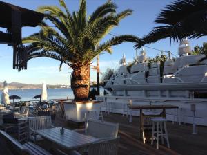 un restaurante con una palmera y un yate en Almira Mare, en Chalkida