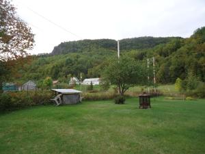 un parque con una mesa de picnic en un campo en Chalet Saint-Thomas, en L'Anse-Saint-Jean