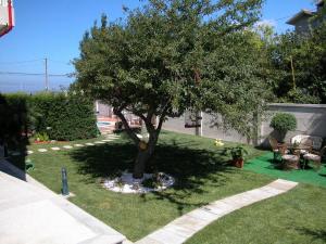 A garden outside Hotel Piñeiro 2 Estrellas Superior