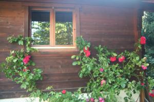 En hage utenfor Chalet Alpine Rose