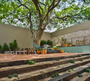 eine Außenterrasse mit einer Treppe und einem Baum in der Unterkunft Hotel Criol in Querétaro