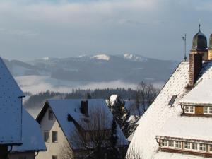 圣玛尔根Hirschenhäusle的享有白雪 ⁇ 的城市和山脉的景色