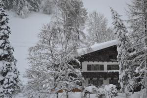 une maison enneigée avec un arbre en face de celle-ci dans l'établissement Haus Thurner, à Wagrain