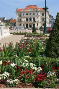 Zahrada ubytování Donaupark Camping Tulln