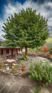 un grande albero in un cortile con tavolo da picnic di Papigo Astraka II a Papigko