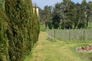 um caminho através de uma sebe com uma cerca e árvores em Agriturismo Al Podere Di Rosa em Sant' Alessio