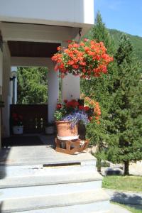 eine Gruppe Blumen in Töpfen auf einer Veranda in der Unterkunft Haus Kandahar in Saas-Fee