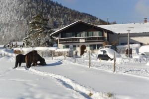 Gästehaus Döring ziemā