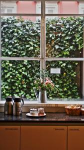 ventana de cocina con vistas a un seto verde en Porto Spot Hostel, en Oporto