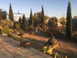 A garden outside Herdade Do Charito