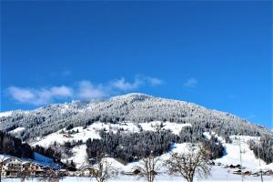 ein schneebedeckter Berg mit Häusern und Bäumen in der Unterkunft Alpenzeit in Flachau