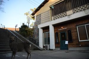 een hert dat voor een gebouw staat bij The Deer Park Inn in Nara