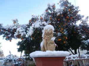 uma estátua de um leão em frente a uma laranjeira em Christina Guest House em Mystras