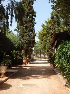 un chemin avec des arbres et une porte dans une cour dans l'établissement Gallery Basement in Villa Vravrona, à Markopoulon