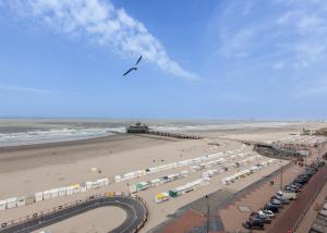 Ein Vogel fliegt über einen Strand mit einem Pier in der Unterkunft Hotel Riant-Séjour by WP Hotels in Blankenberge