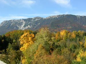 una foresta di alberi con montagne sullo sfondo di Flackl - Wirt a Reichenau