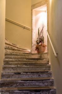 un escalier avec une plante en pot dans l'établissement Albergo-Toscana, à Bad Schandau