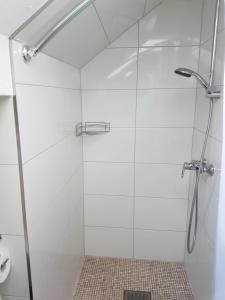 y baño con ducha y puerta de cristal. en Oldenstadter Wassermuhle, en Uelzen