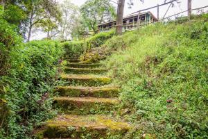 Vườn quanh Kimugu River Lodge