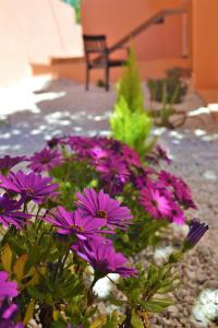 een bos paarse bloemen in een tuin bij Casa Vacanze Mura in Cala Gonone