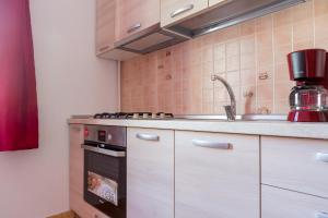 A kitchen or kitchenette at Garsoniere Dinu