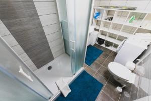 a bathroom with a shower and a toilet and a sink at Apartment Berglez in Škofja Loka