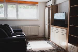 a living room with a couch and a television at Apartment Berglez in Škofja Loka