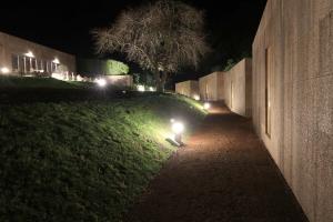 フルナスにあるWorld's Nests Furnas Pods Villageの夜の芝生の上に灯る散歩道