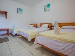 a room with three beds with yellow sheets at Galapagos Dreams in Puerto Ayora