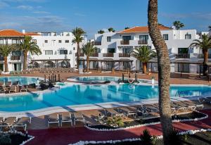 uma grande piscina com cadeiras e uma palmeira em Apartamentos Hesperia Bristol Playa em Corralejo