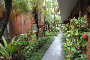 uma passarela num jardim com palmeiras e plantas em Best Western Ipswich em Ipswich