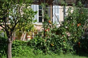 Un jardín fuera de Les Passiflores