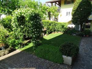 a yard with a bush with white flowers on it at Casa Del Noce in Rovereto